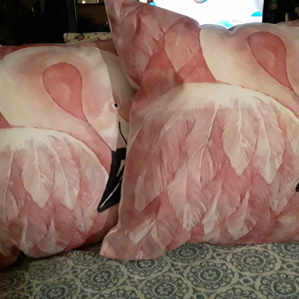 Throw pillow set